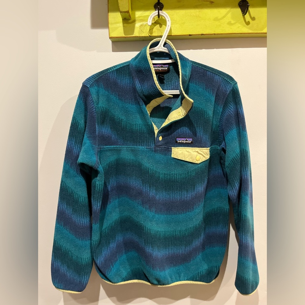 Patagonia synchilla
